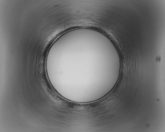 X0000111010679200906191208