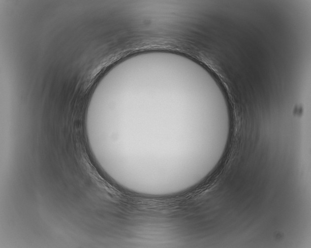 X0000111010681200906191208