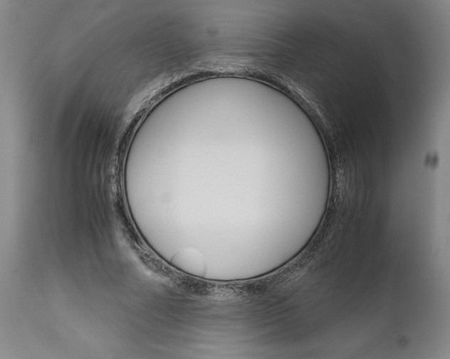 X0000111010682200906191208