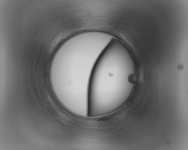 X0000111010685200906191208