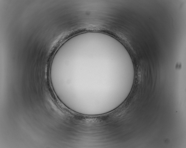 X0000111010686200906191208