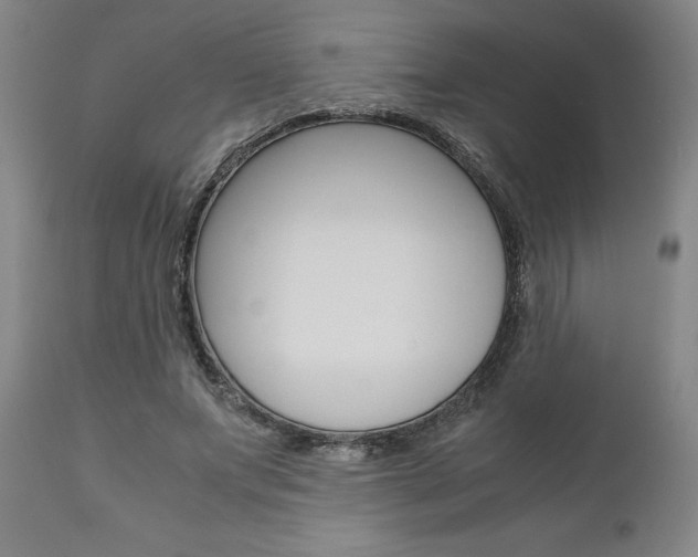 X0000111010687200906191208