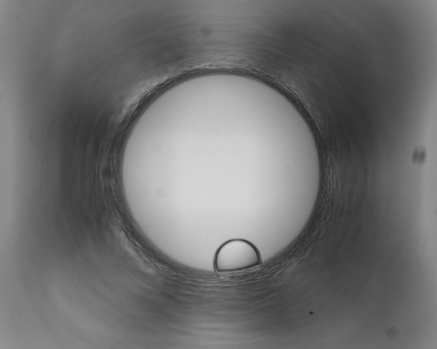 X0000111010688200906191208