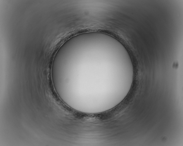 X0000111010689200906191208