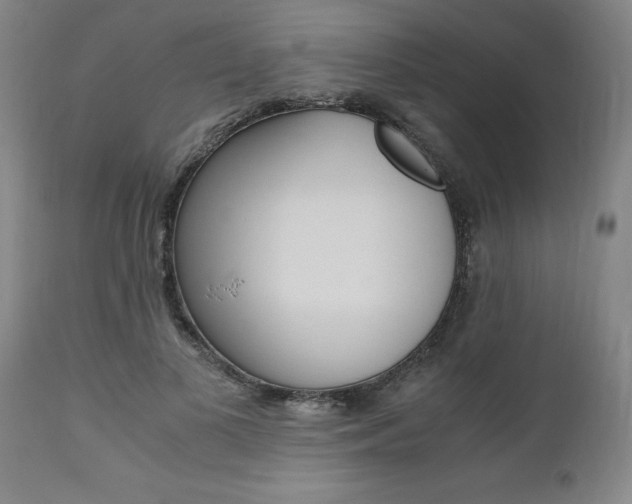 X0000111010693200906191208