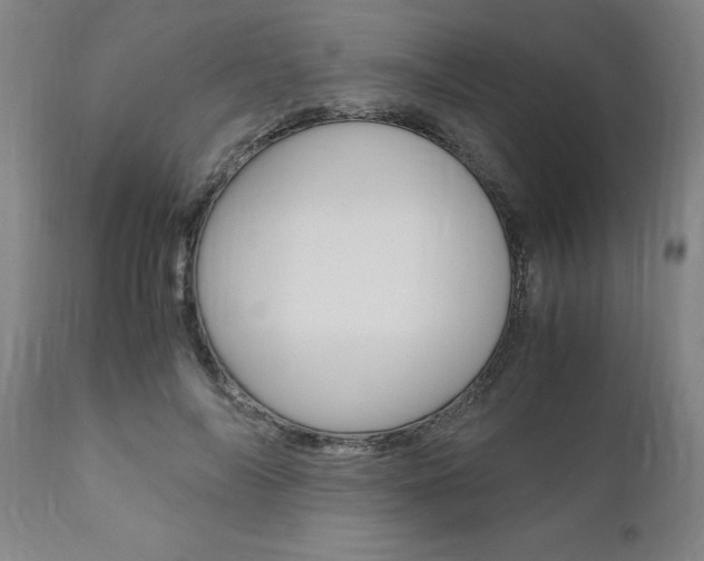 X0000111010694200906191208