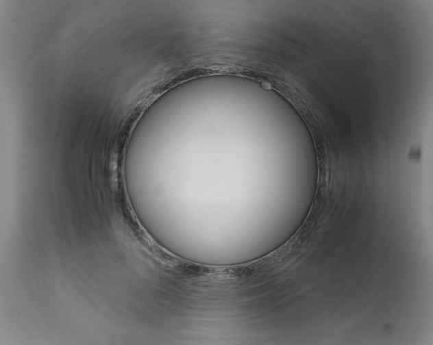 X0000111010696200906191208