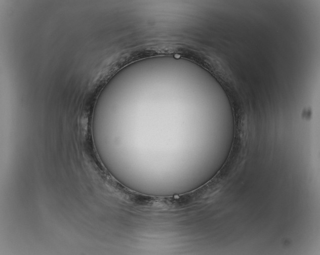 X0000111010697200906191208
