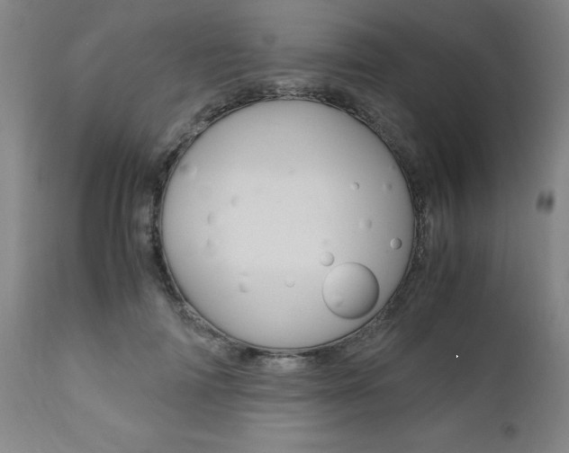 X0000111010698200906191208
