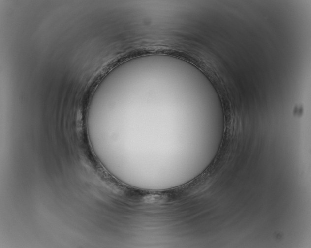 X0000111010700200906191208