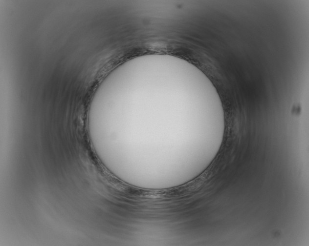 X0000111010702200906191208