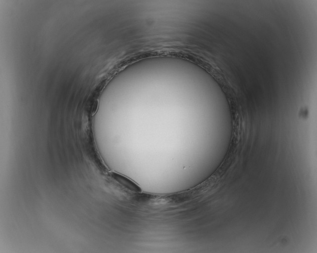 X0000111010704200906191208