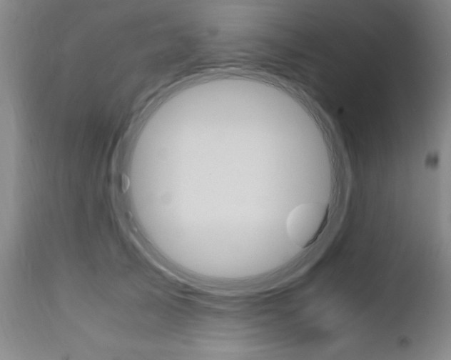 X0000111010705200906191208