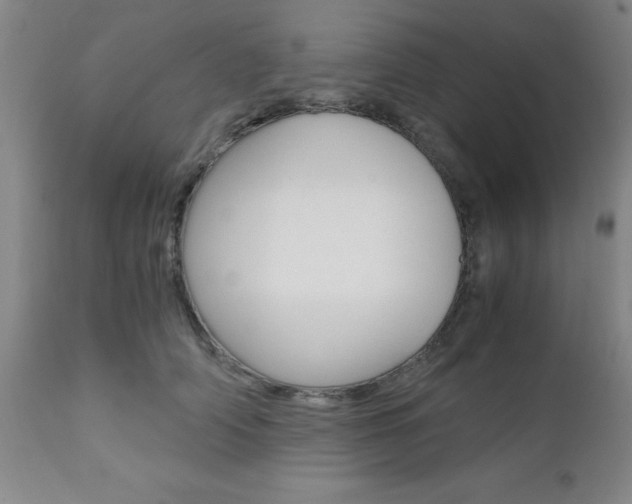 X0000111010706200906191208