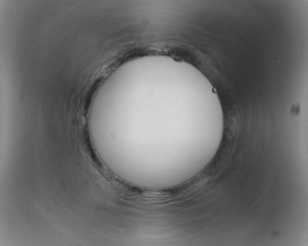X0000111010707200906191208