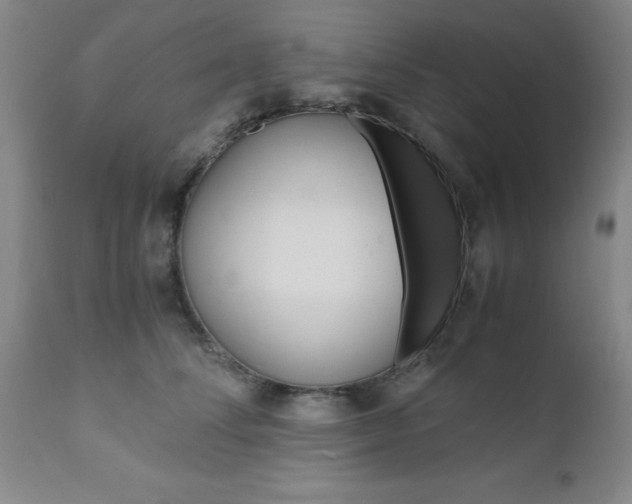 X0000111010708200906191208