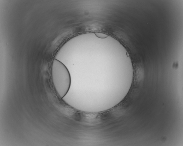 X0000111010709200906191208
