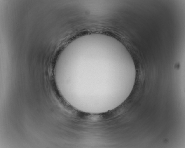 X0000111010711200906191207