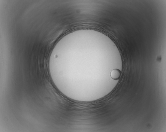 X0000111010712200906191207