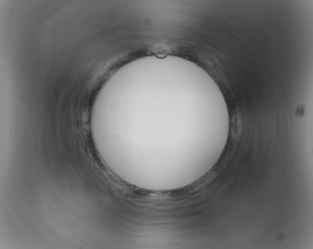 X0000111010714200906191207