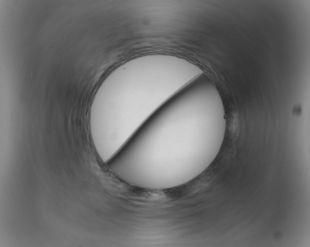X0000111010715200906191207