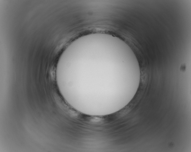 X0000111010718200906191207