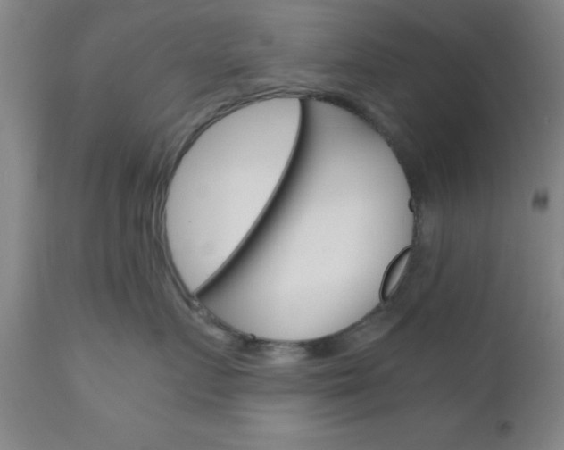 X0000111010719200906191207