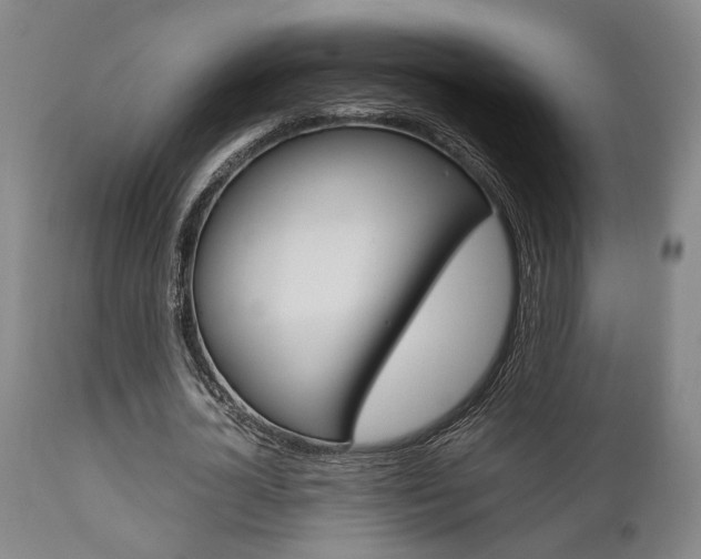 X0000111010724200906191207