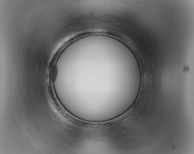 X0000111010726200906191207