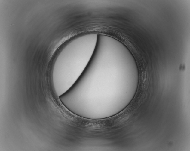 X0000111010727200906191207