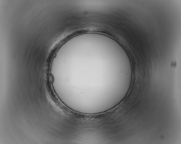 X0000111010730200906191207