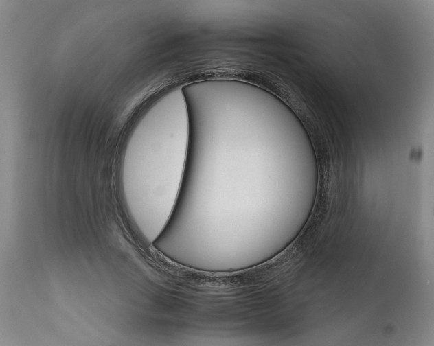 X0000111010735200906191207