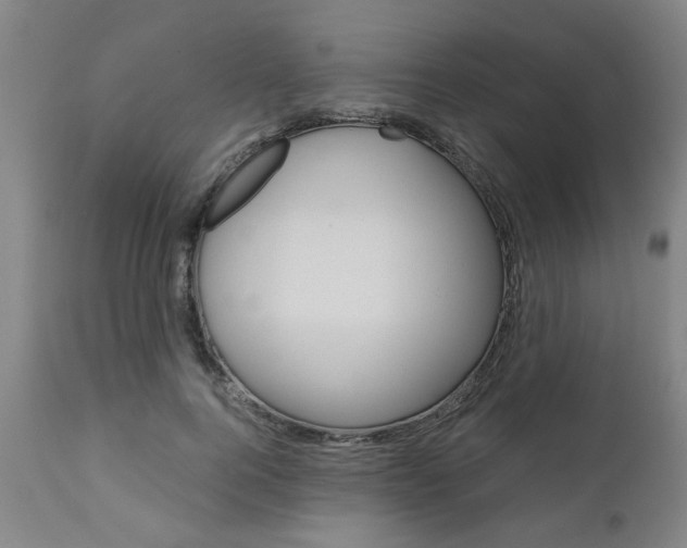 X0000111010744200906191207