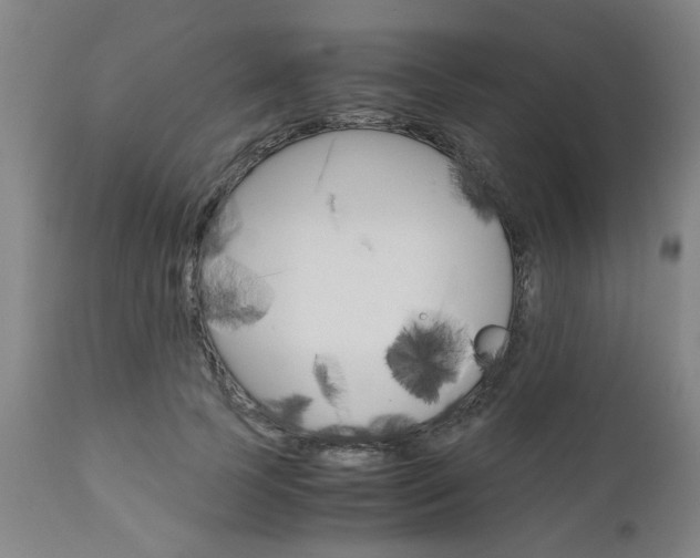 X0000111010745200906191207
