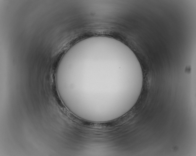 X0000111010746200906191207