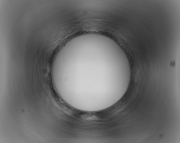 X0000111010747200906191207