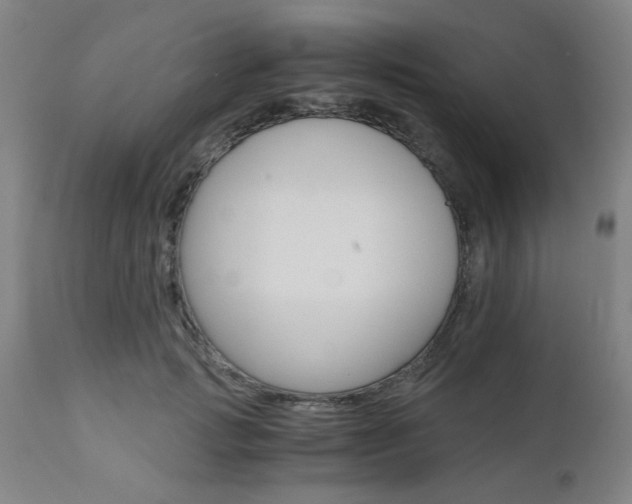 X0000111010749200906191207