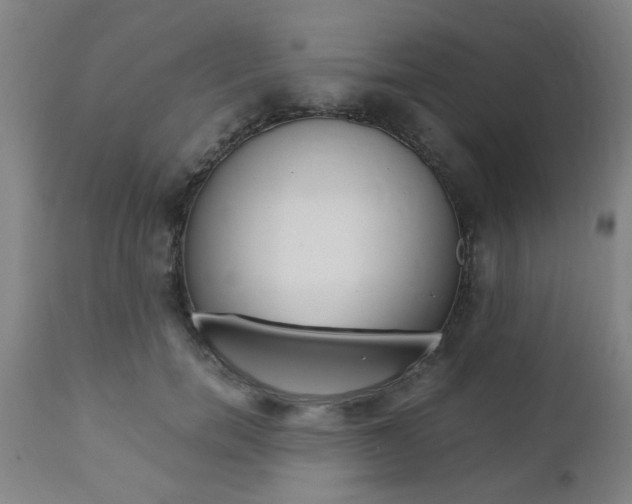 X0000111010750200906191207