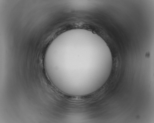 X0000111010754200906191207