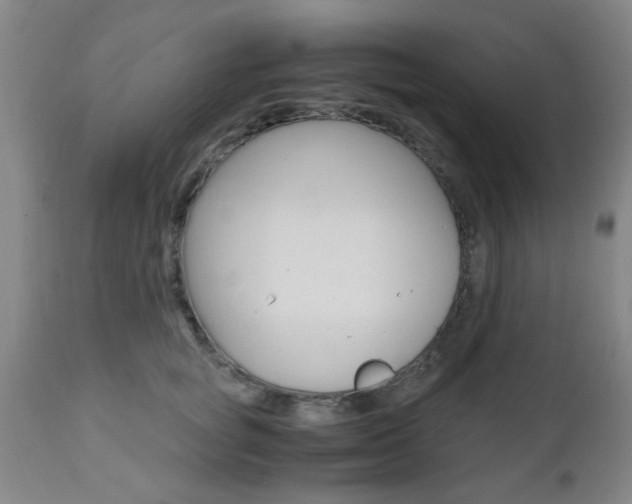 X0000111010757200906191207