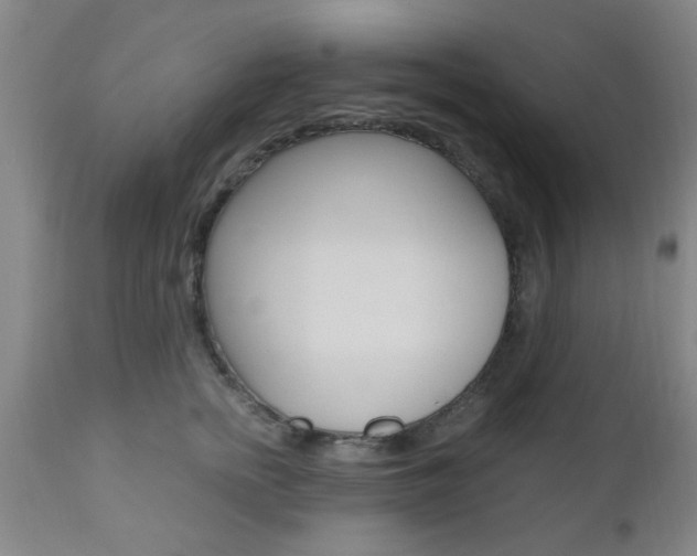 X0000111010758200906191207