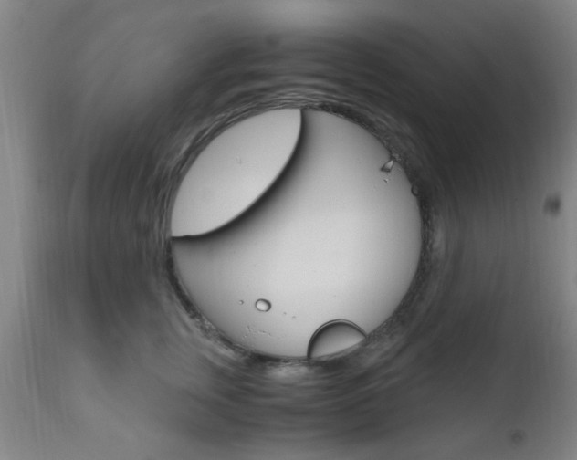 X0000111010759200906191207