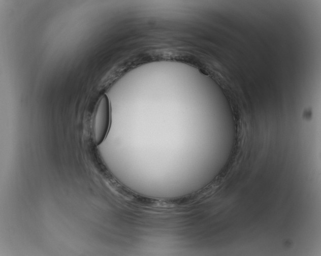X0000111010760200906191207