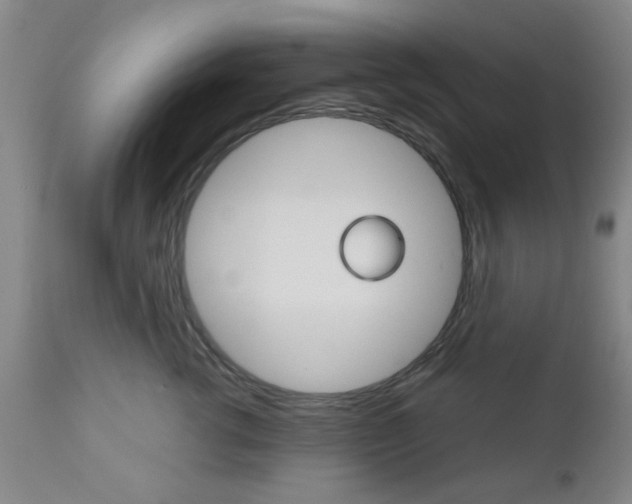 X0000111010762200906191207