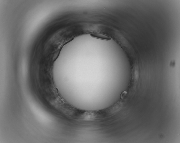 X0000111010764200906191207
