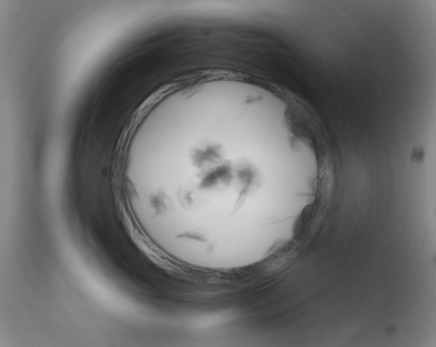 X0000111010765200906191207
