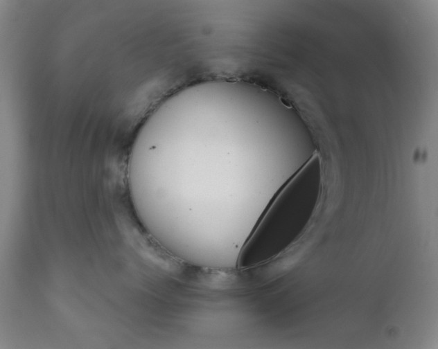 X0000111010768200906191207