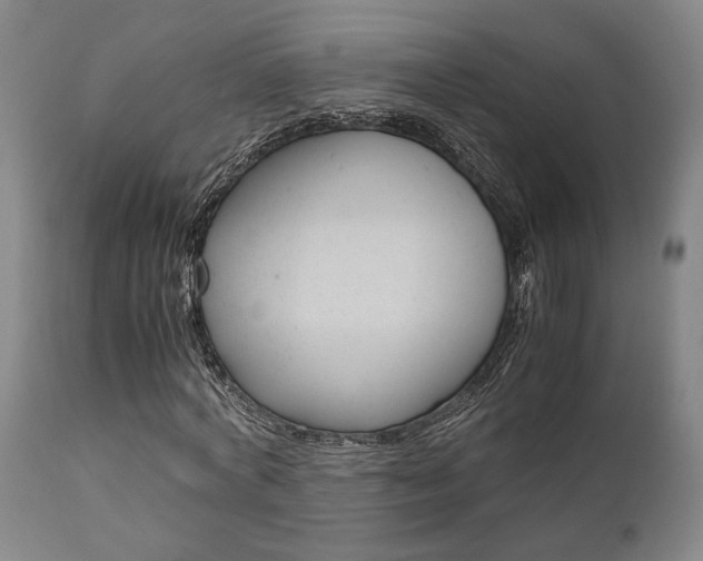 X0000111010772200906191207