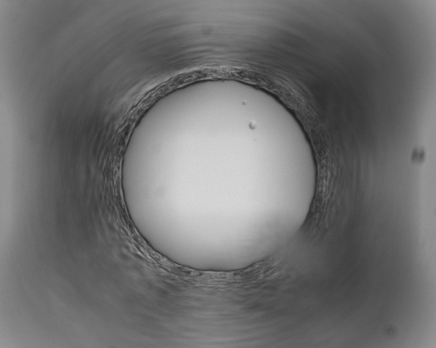 X0000111010773200906191207