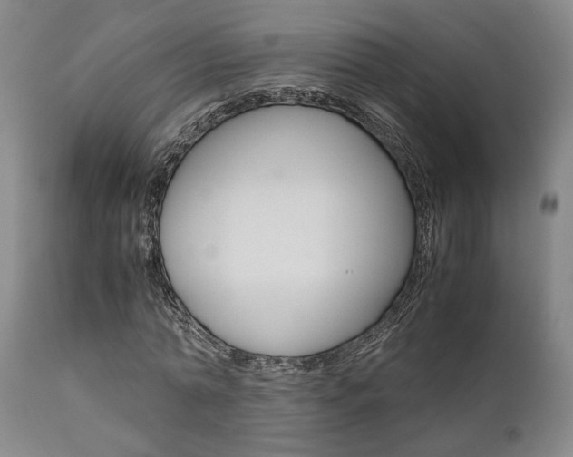 X0000111010774200906191207